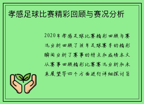 孝感足球比赛精彩回顾与赛况分析