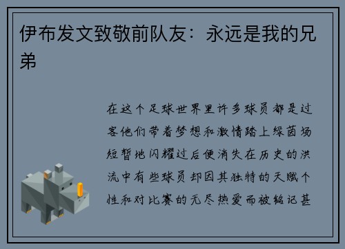 伊布发文致敬前队友：永远是我的兄弟