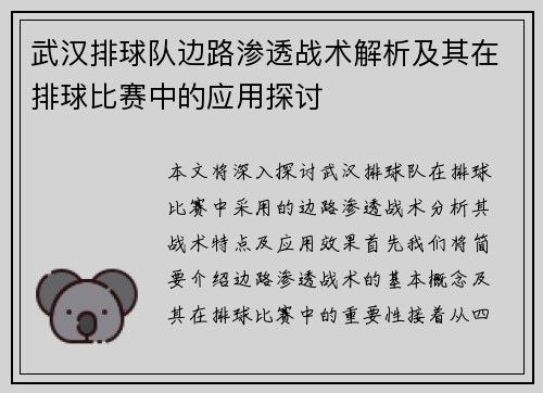 武汉排球队边路渗透战术解析及其在排球比赛中的应用探讨